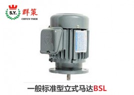 群策電機_一般標(biāo)準(zhǔn)型立式馬達(dá)BSL