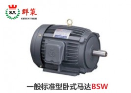 群策電機(jī)_一般標(biāo)準(zhǔn)型臥式馬達(dá)BSW